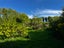 10 Riverlea Road, Whenuapai, Auckland - Carousel 17
