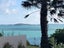 2/142 Clovelly Road, Bucklands Beach, Auckland - Carousel 2