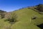 496A Backriver Road, Mangonui, Mangonui - Carousel 6
