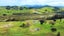 1344 State Highway 12, Oue, Kaikohe - Carousel 3