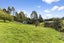 849 Blueskin Road, Mount Cargill, Waitati - Carousel 26