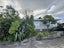247 Mitchell Street, Brooklyn, Wellington - Carousel 1