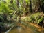 217 Soldiers Road, Lower Kaimai, Tauranga - Carousel 10