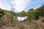 100 Waiatarua Road, Remuera, Auckland - Carousel 16
