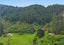 0 Kakapo Bay, Port Underwood, Picton - Carousel 3
