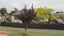 9 Torquay Place, Bryndwr, Christchurch - Carousel 1