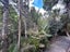 89 O'Brien Road, Albany - Carousel 24