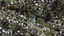 31 Trig Hill Road, Onetangi, Waiheke Island - Carousel 2
