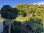 179 Ohiro Road, Brooklyn, Wellington - Carousel 10