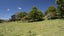 233 South Road, Mauriceville, Masterton - Carousel 16