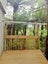 40G Konini Road, Titirangi, Auckland - Carousel 11