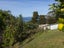 10 De Surville Road, Karikari Peninsula, Kaitaia - Carousel 21