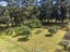 37 Hadfield Road, Peka Peka - Carousel 43