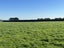 74 Dowling Road, LONGBUSH, INVERCARGILL - Carousel 2