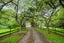227 Church Road, Kamo - Carousel 2