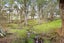 0 Runciman Road, Ramarama, Drury - Carousel 10