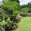 303 Totara North Road, Totara North, Kaeo - Carousel 14