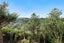 79 Thurleigh Grove, Karori, Wellington - Carousel 28