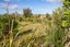 1 Sandy Bay Drive, Mataikona - Carousel 25