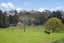 11A Korokino Road, Greenlane, Auckland - Carousel 17
