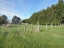 329 Wallacetown Lorneville Highway, Makarewa, Invercargill - Carousel 38