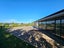 201 Ohaupo Road, Glenview, Hamilton - Carousel 14