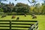 8 Homebush Road, Homebush, Masterton - Carousel 25