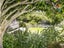 153 Nevay Road, Karaka Bays, Wellington - Carousel 12