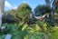 9 Fergusson Street, Hamilton East, Hamilton - Carousel 10