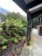 4 Neils Beach, JACKSON BAY, HAAST - Carousel 16