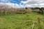 185A Tipapakuku Road, Dannevirke, Dannevirke - Carousel 28