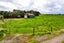 6230 South Road, Opunake - Carousel 29