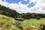 169 Torehape Road West, Kaihere, Ngatea - Carousel 31