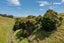 966 Taieri Mouth Road, Kuri Bush, Dunedin - Carousel 35