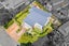 9 Puriri Street, Eastbourne, Lower Hutt - Carousel 29