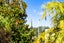 5 Empire Road, Epsom, Auckland - Carousel 21