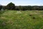 795 Dover Road, Okato, New Plymouth - Carousel 8