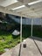 94 Wexford Road, Miramar, Wellington - Carousel 10