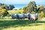 57 Big Stone Road, Brighton, Dunedin - Carousel 32