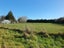 522 Pleasant Point Highway, Levels, Timaru - Carousel 16