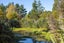 881A Norfolk Road, Carterton - Carousel 43