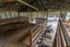 810 Waiterimu Road, Waiterimu, Ohinewai - Carousel 22