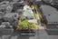 29 Saint Georges Road, AVONDALE, AUCKLAND - Carousel 1