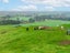 166B Te Tuhi Road, Okauia, Matamata - Carousel 27