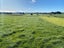 89 Robertson Road, Whatawhata - Carousel 18