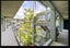 405/9 Sarawia Street, Newmarket, Auckland - Carousel 8
