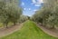 61 Calders Road, Christchurch - Carousel 14