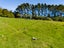 805 Richmond Road, Lepperton, New Plymouth - Carousel 34