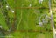 774 Coatesville-Riverhead Highway, Albany - Carousel 18