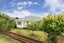 271 Hillsborough Road, Hillsborough, Auckland - Carousel 5